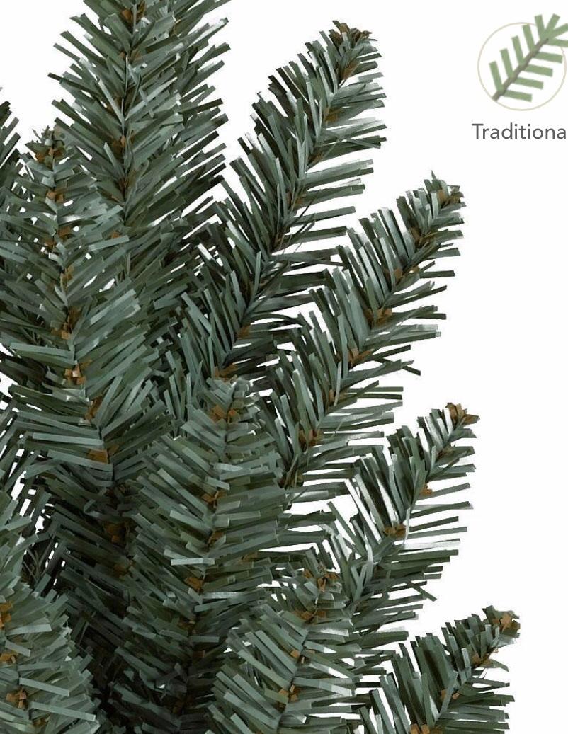Christmas Tree Canadian Blue Green Spruce in N10 for £100.00