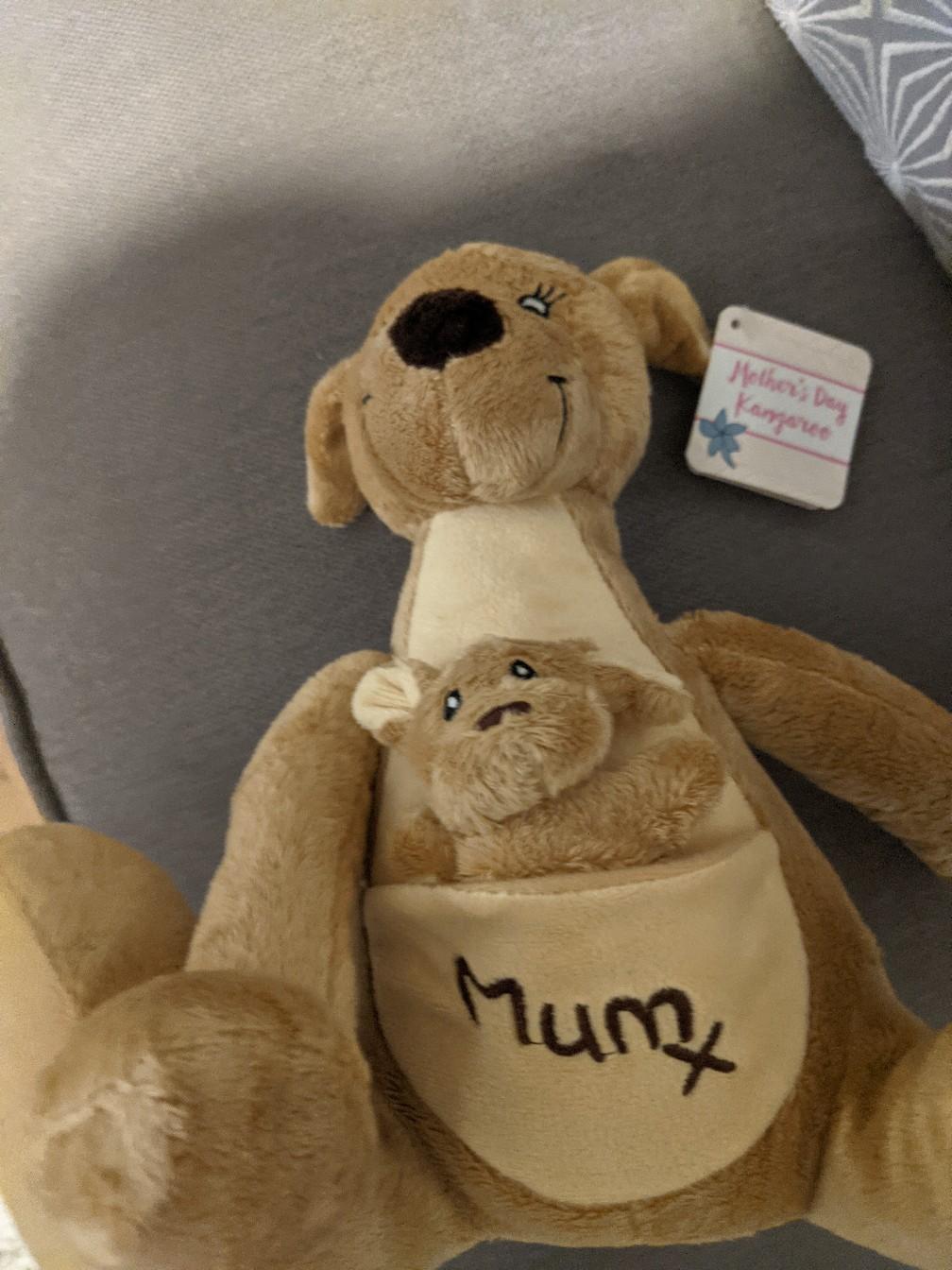 BRAND NEW CUDDLY KANGAROO in LE7 Charnwood für 5,00 £ zum Verkauf