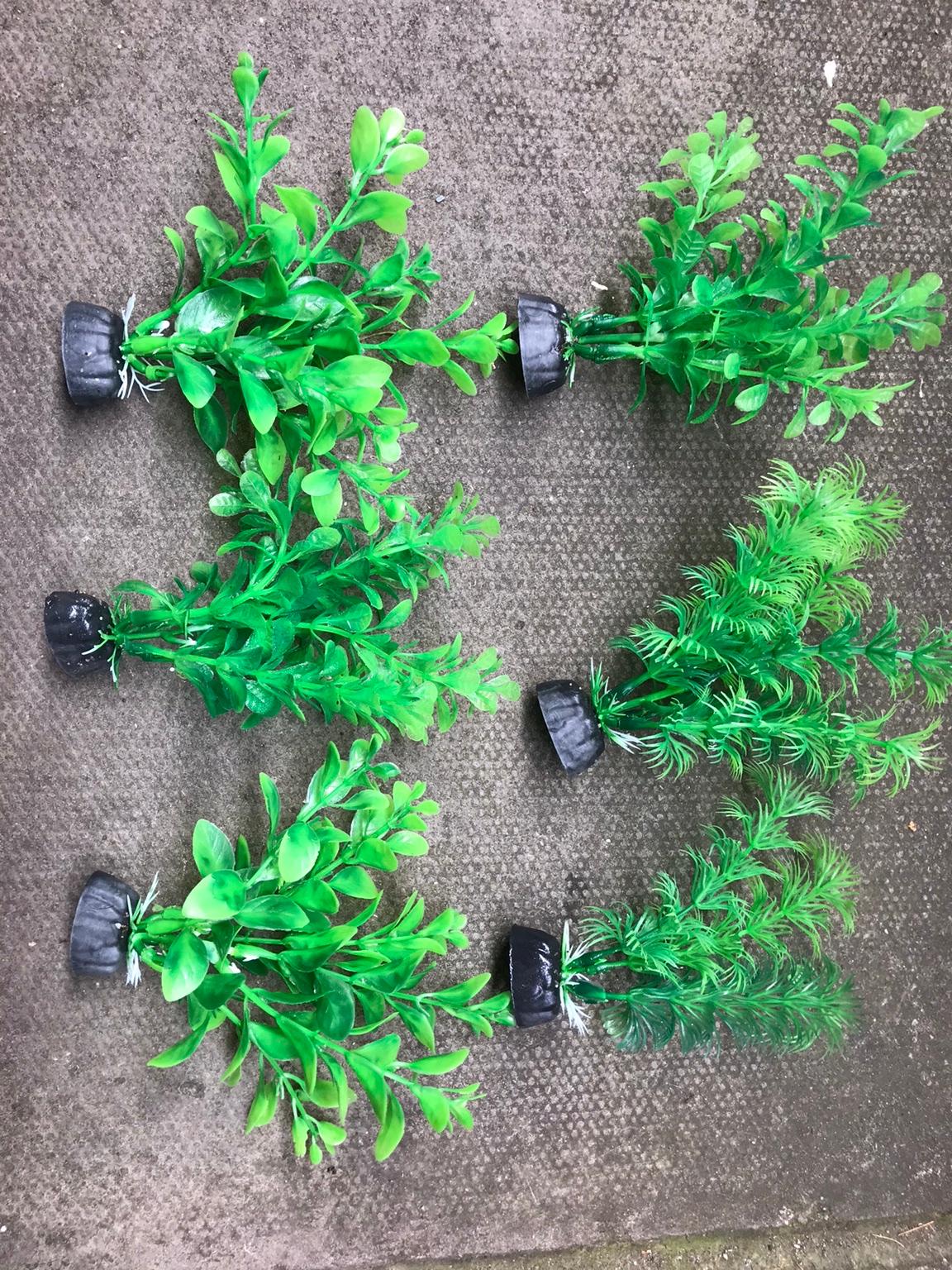 Fisk tank plastic plants in B37 Solihull für 6,00 £ zum Verkauf Shpock DE