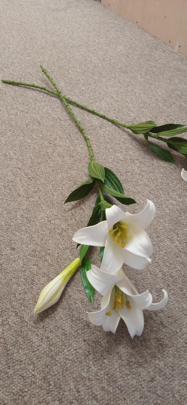 Beautiful flowers in NN1 Northampton für 6,00 £ zum Verkauf Shpock DE