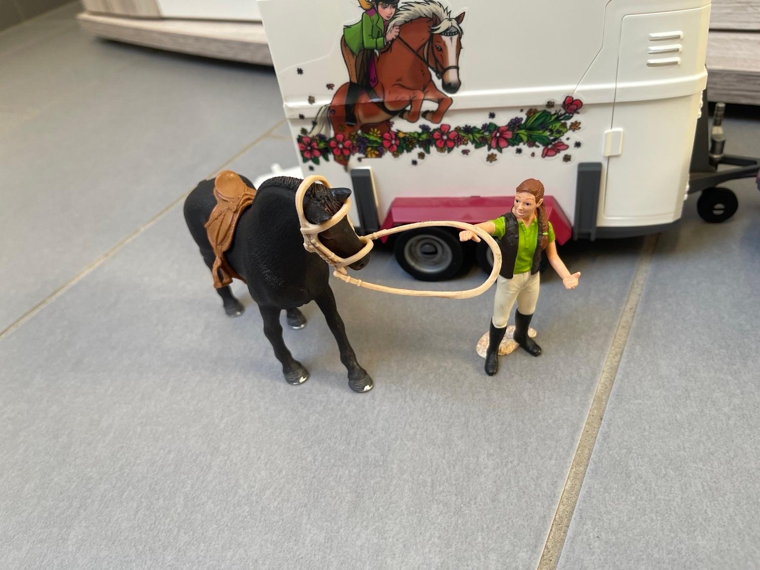 Schleich Pick Up mit Pferdeanhänger in 67596 Dittelsheim-Heßloch für 49