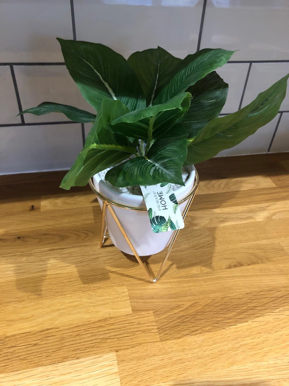 STUNNING ARTIFICIAL PLANT in Broxbourne für 3,50 £ zum Verkauf Shpock DE