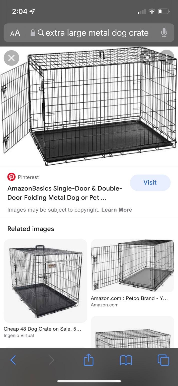 Dog crate extra large in NN8 Wilby für gratis zum Verkauf Shpock DE