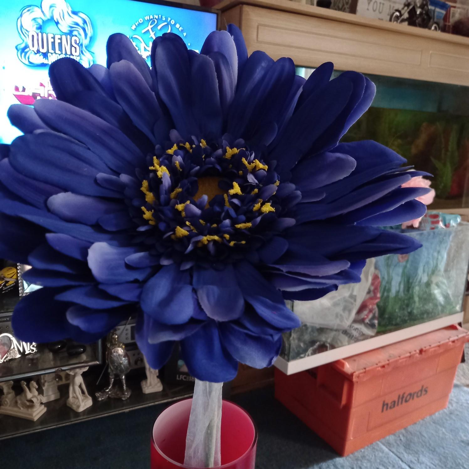 2 very large silk flowers in NG6 Nottingham for £2.00 for sale Shpock