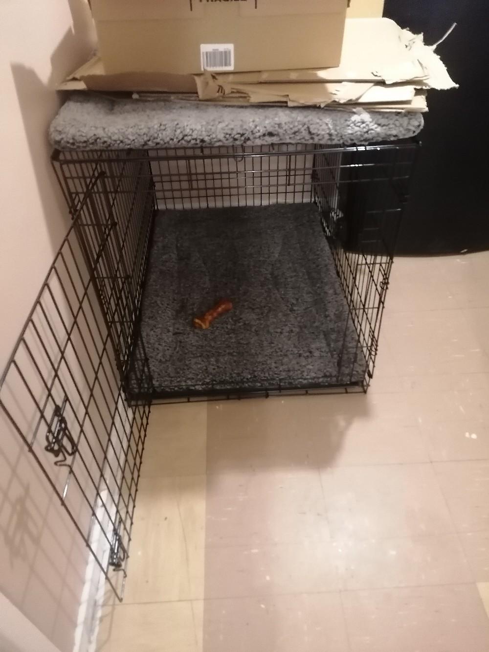 large dog crate in BR5 London für 25,00 £ zum Verkauf Shpock DE