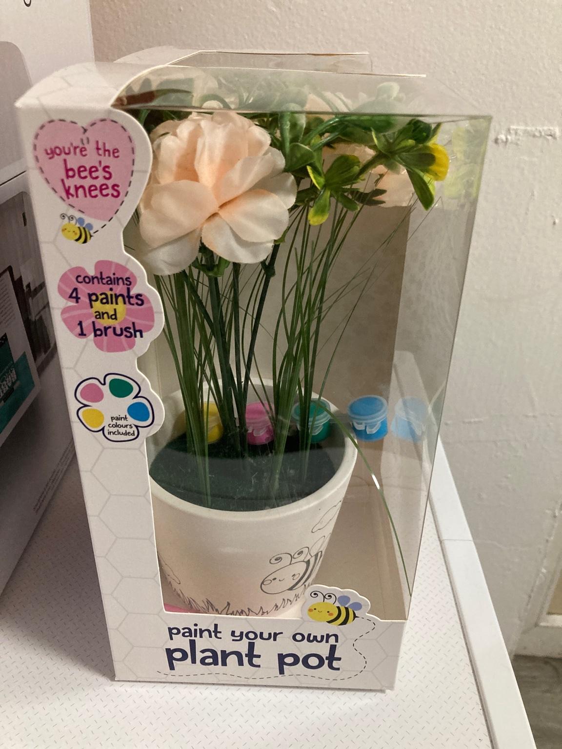 Paint your own plant pot in B26 Birmingham für 1,00 £ zum Verkauf