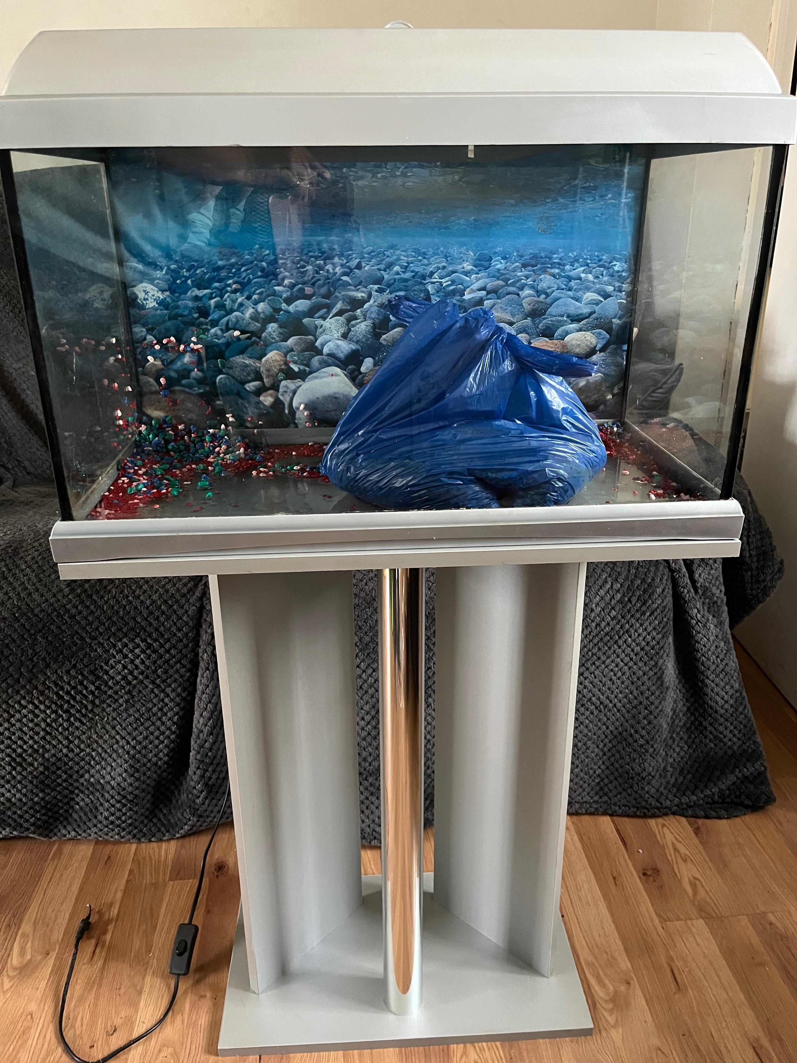 2ft fish tank with accessories in CV10 Bedworth for £50.00 for sale Shpock