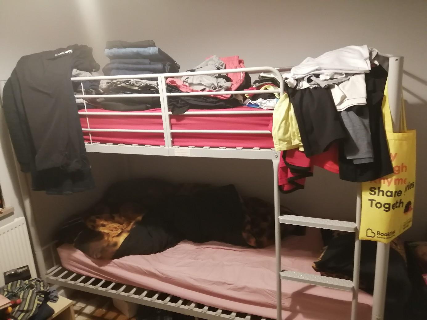 bunk beds in B4 Birmingham for £75.00 for sale Shpock