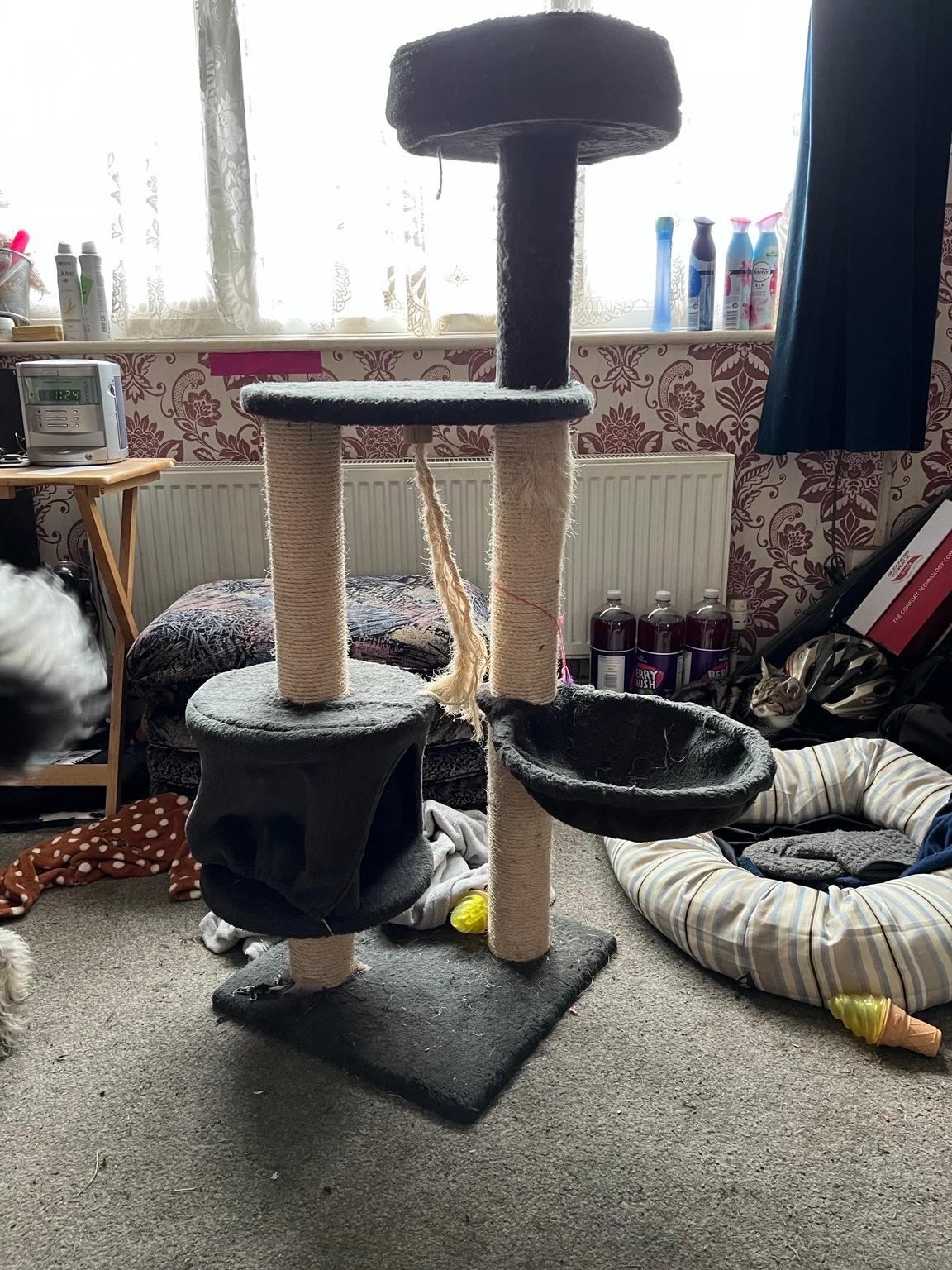 Cat tree in CM8 Witham für 20,00 £ zum Verkauf Shpock DE