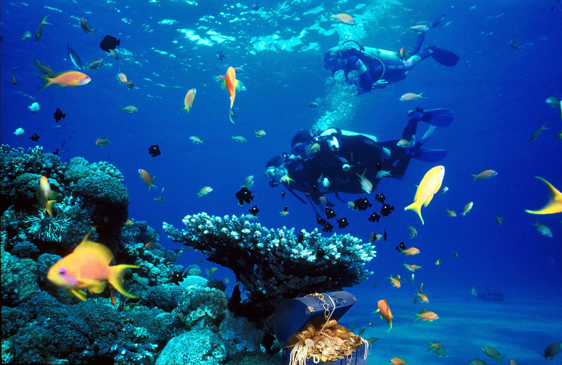 A Treasure Hunt under the Sea