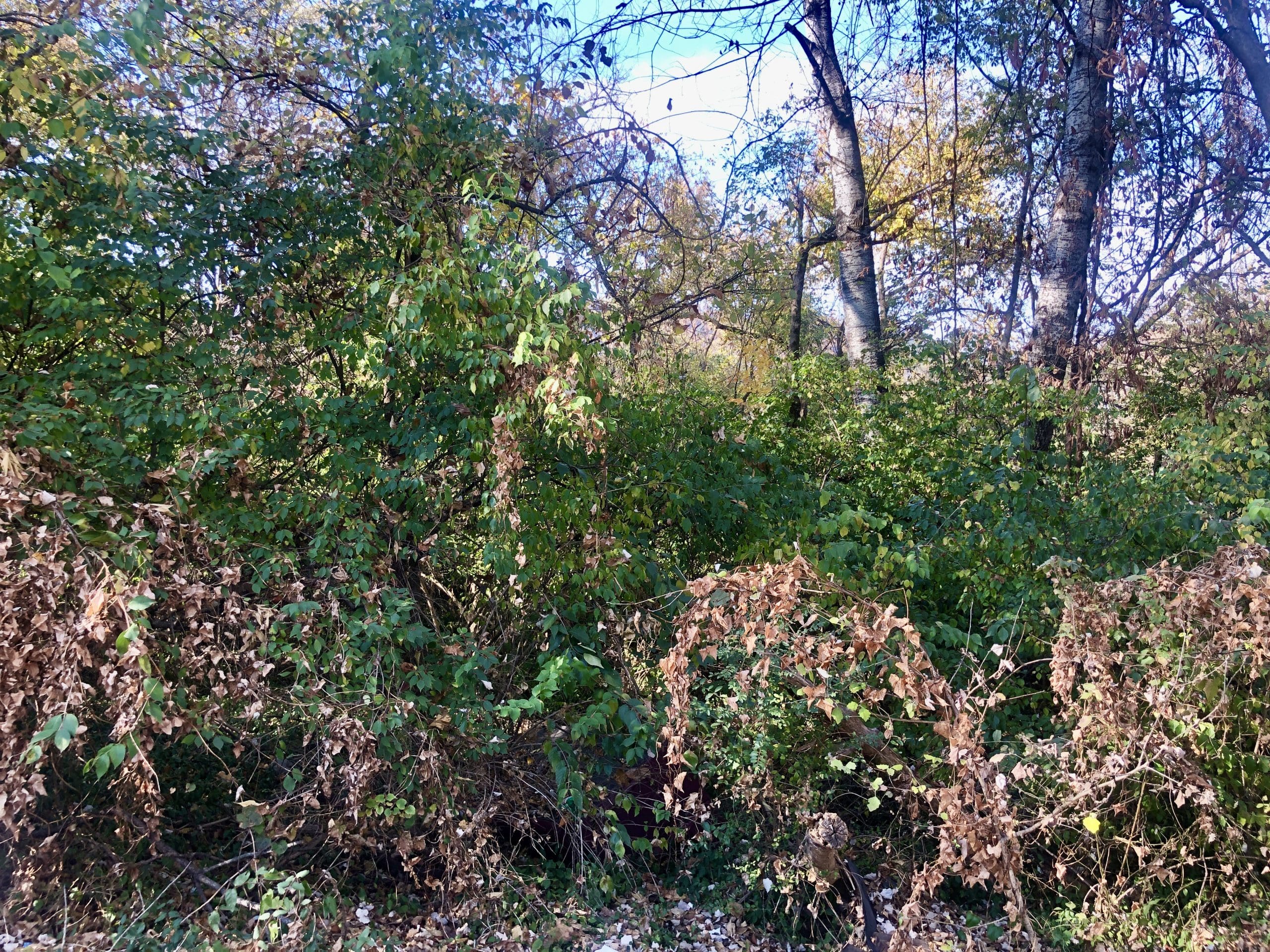 Knox County Surplus Delinquent Tax Properties Powell Auction & Realty