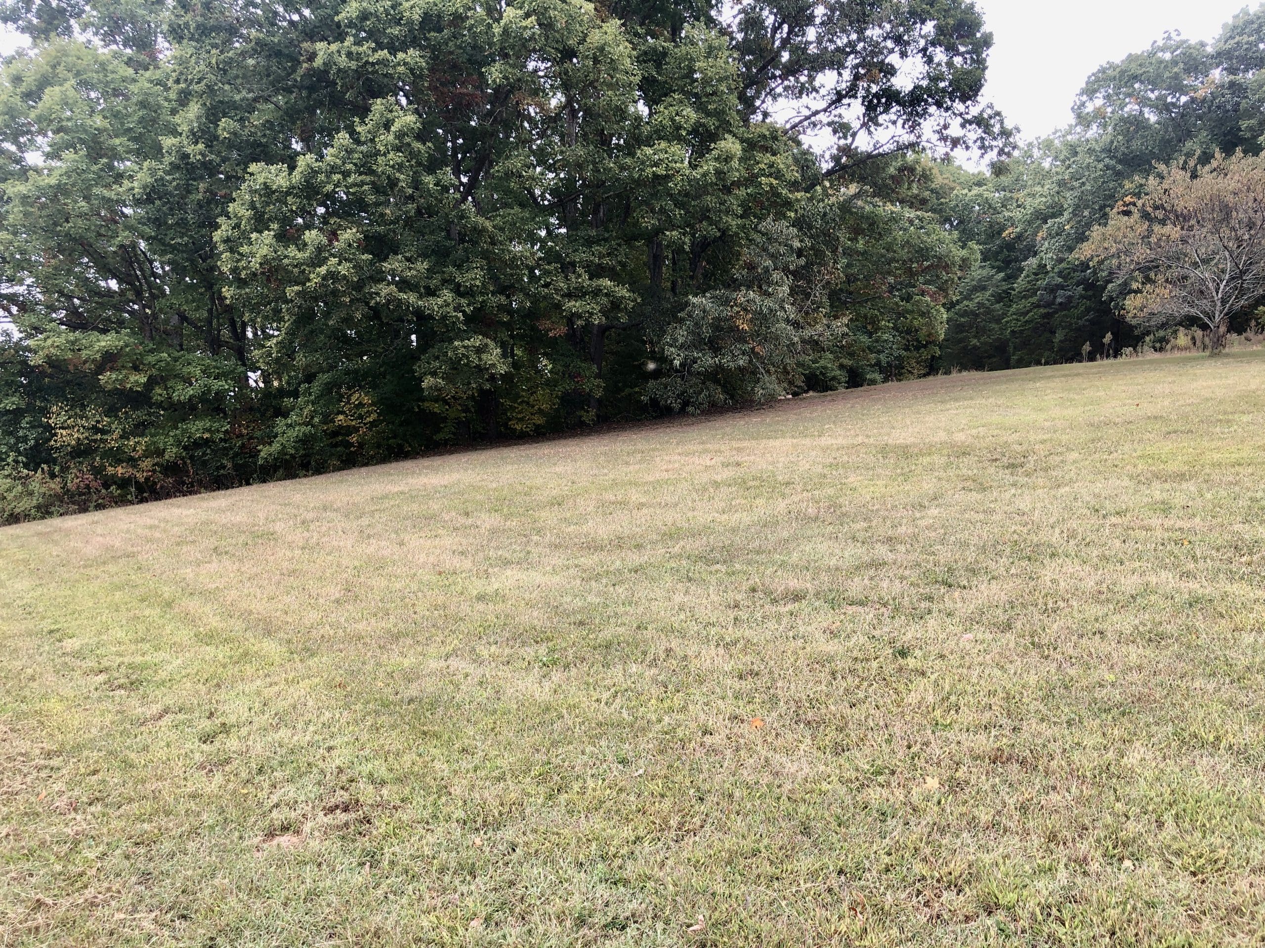 SOLD 377,300 Hall Estate 7910 Greenwell Road Knoxville, TN