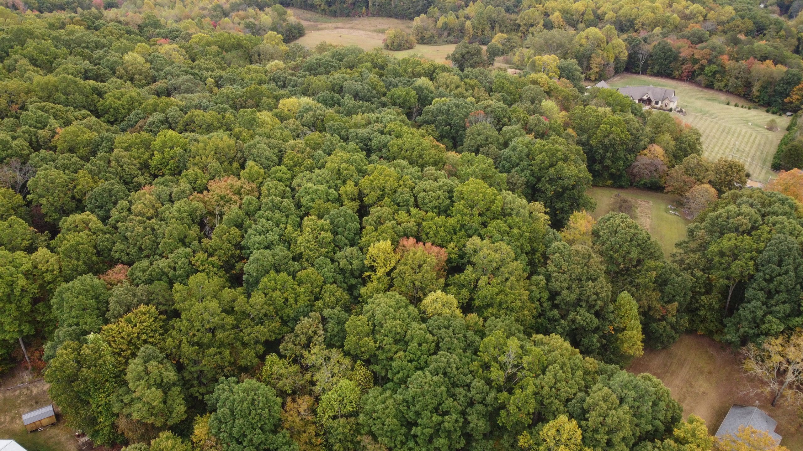 SOLD 377,300 Hall Estate 7910 Greenwell Road Knoxville, TN