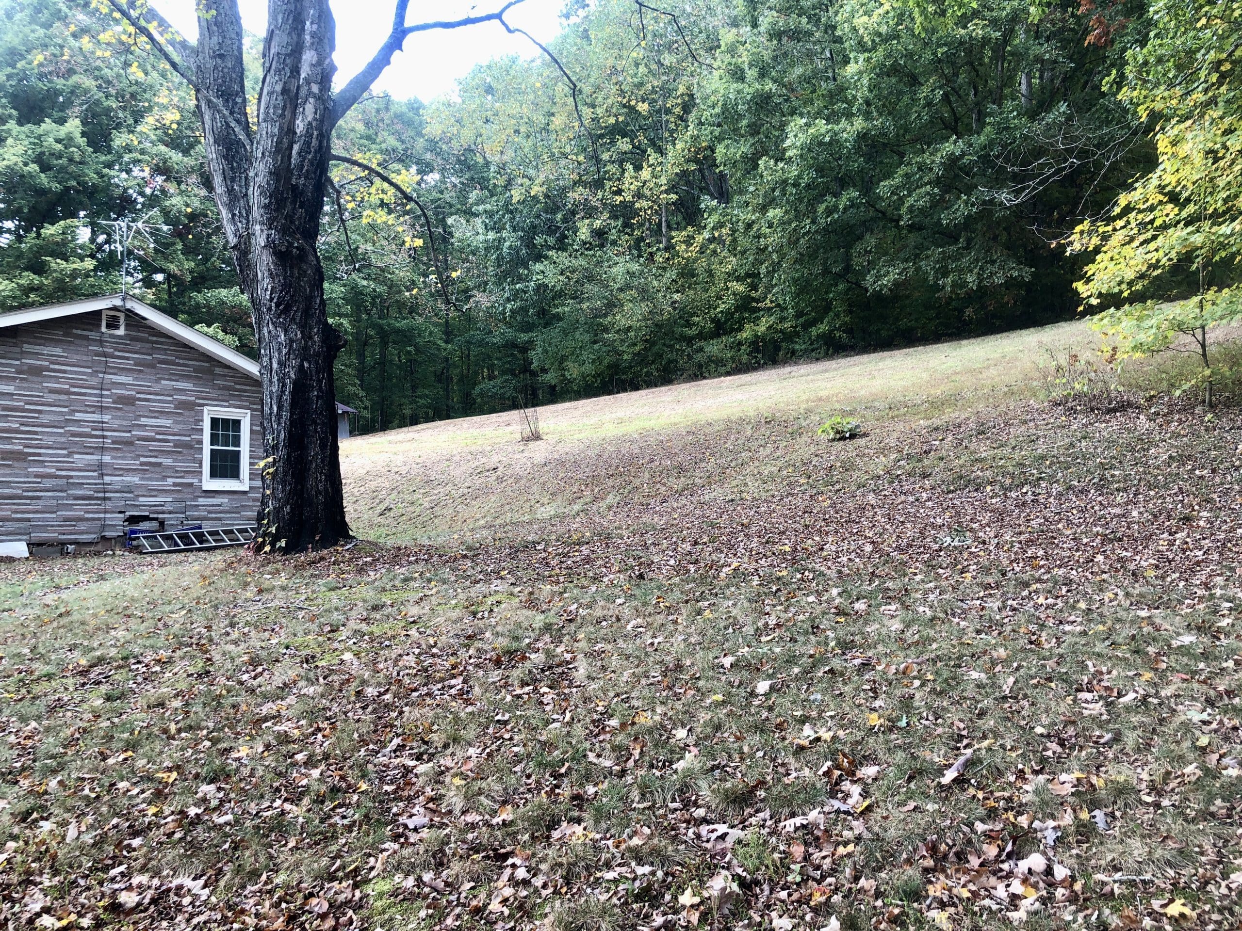 SOLD 377,300 Hall Estate 7910 Greenwell Road Knoxville, TN