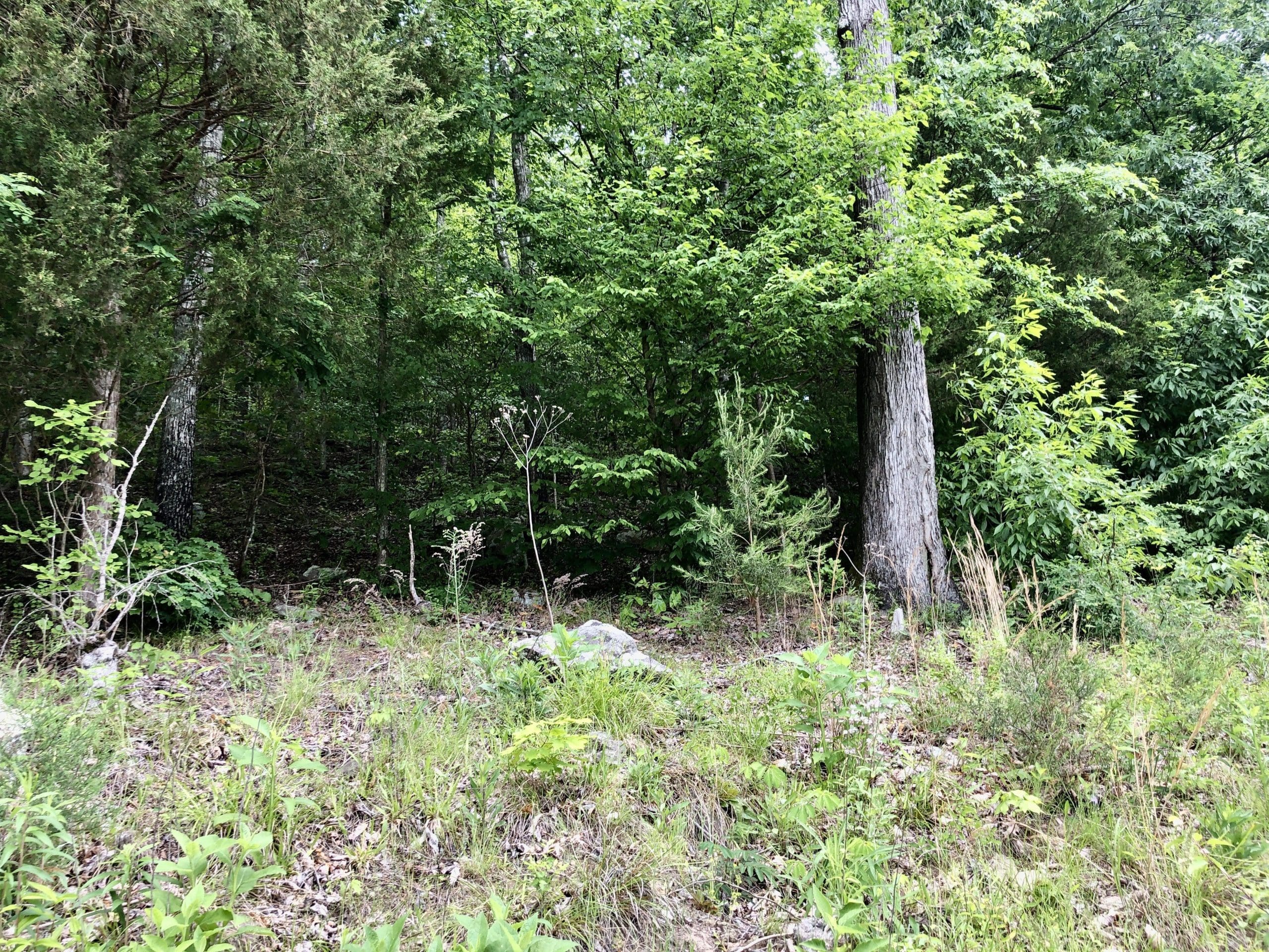 SOLD 28,930 Melton Hill Drive Clinton, TN 37716 Powell Auction