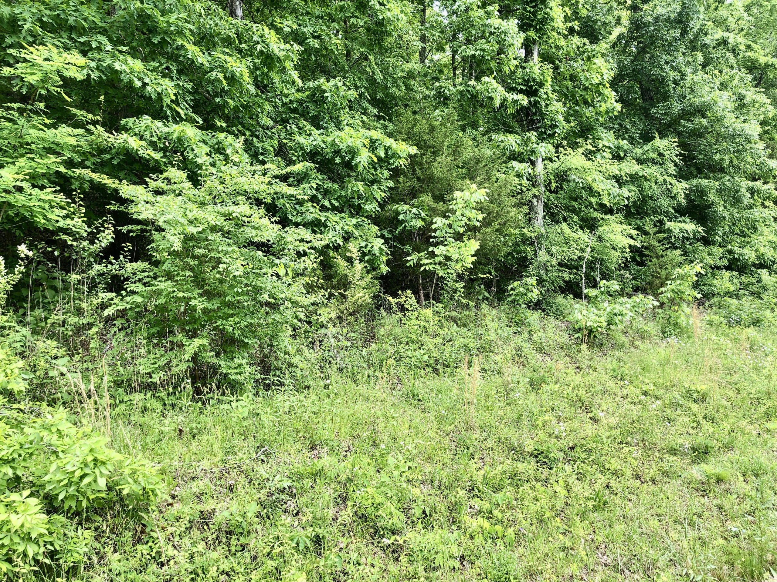 SOLD 28,930 Melton Hill Drive Clinton, TN 37716 Powell Auction