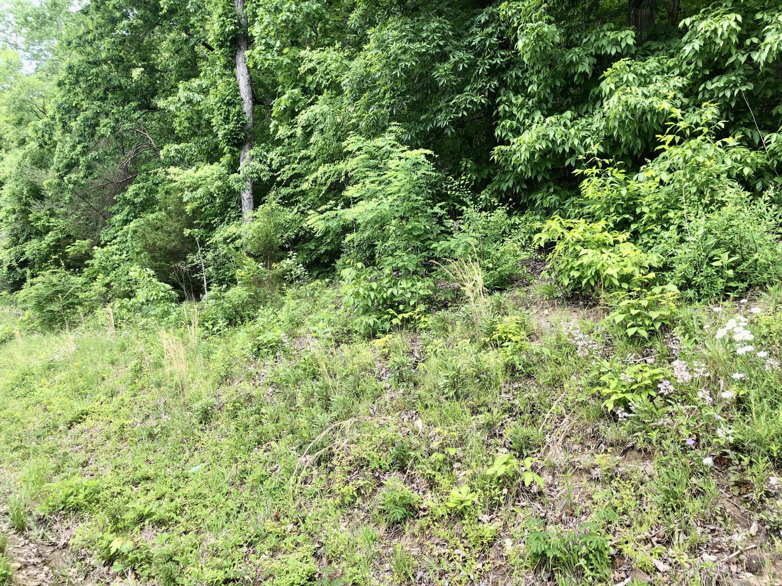 SOLD 28,930 Melton Hill Drive Clinton, TN 37716 Powell Auction