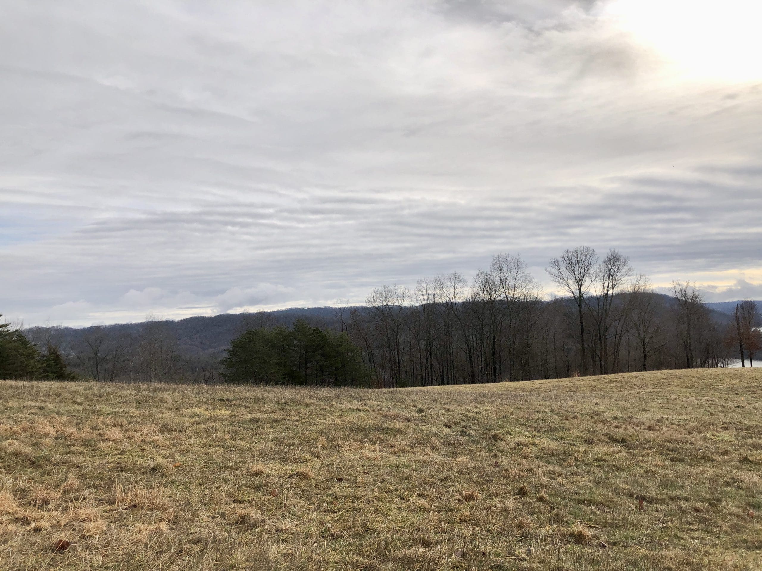 SOLD 4 Building Lots in Rock Harbor and Lone Mountain Shores New