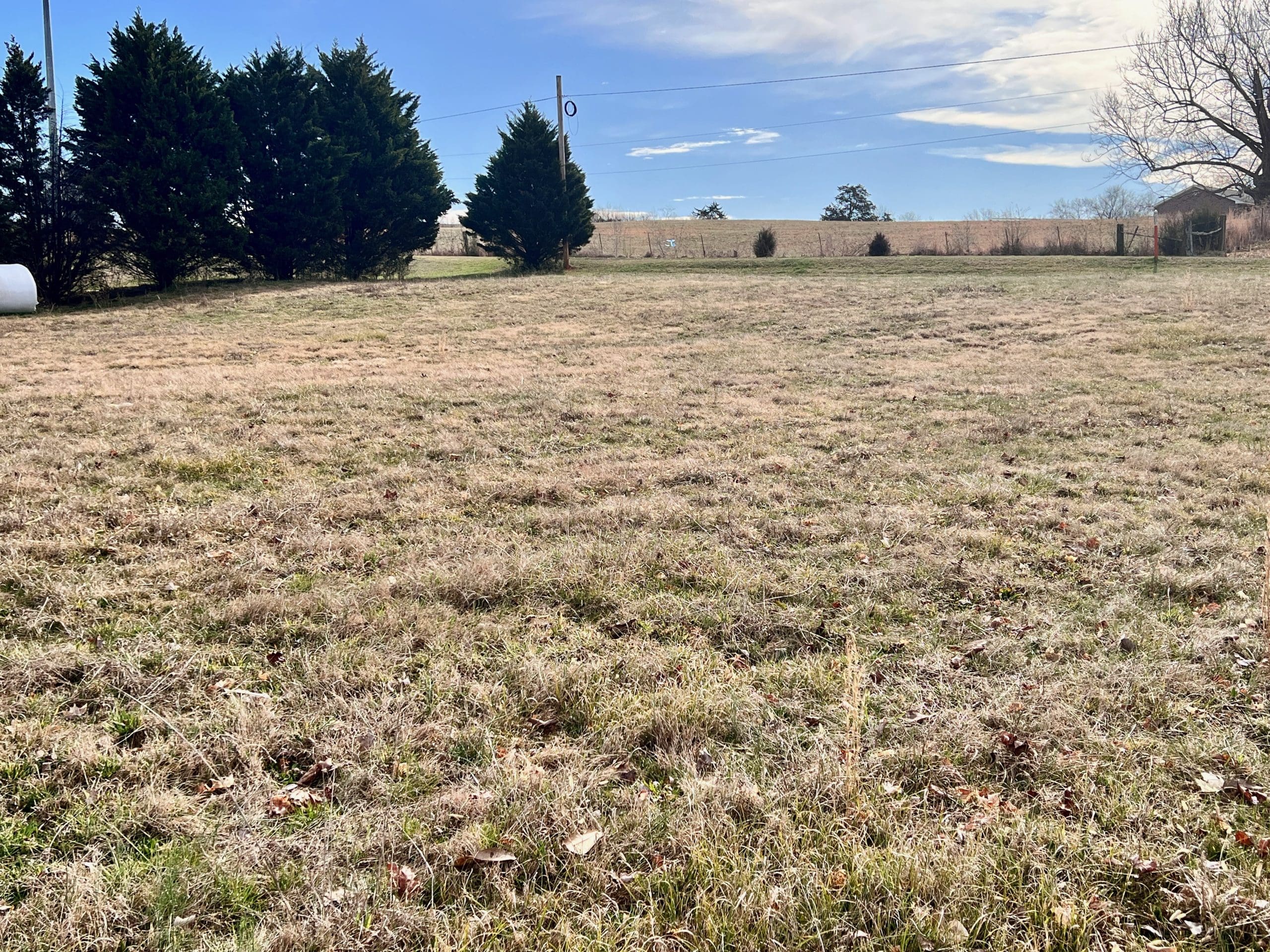 Auctions Powell Auction & Realty