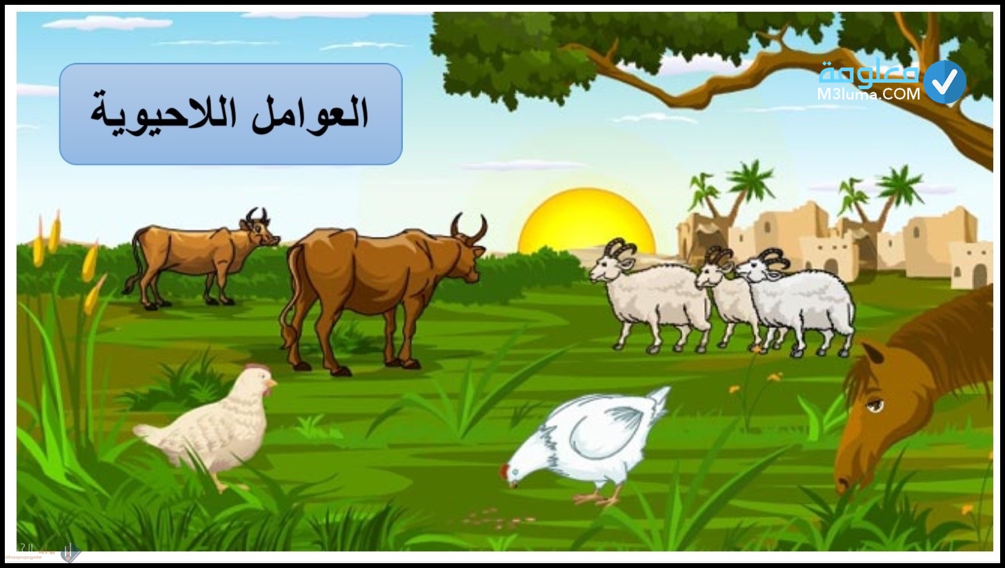 أي مما يأتي من العوامل اللاحيوية التي تتفاعل معها النباتات