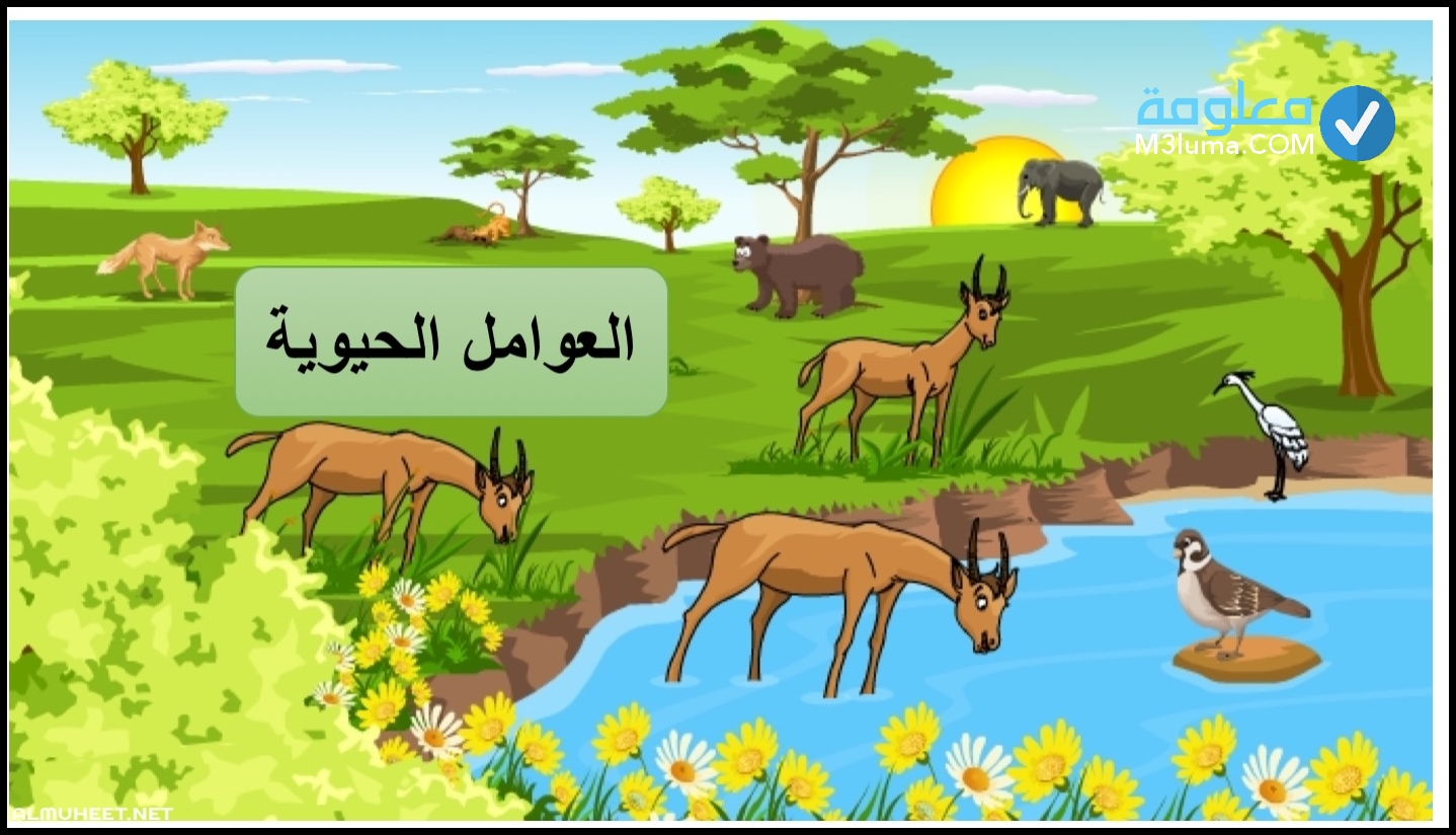 أي مما يأتي من العوامل اللاحيوية التي تتفاعل معها النباتات