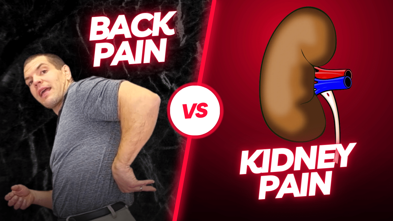 Back Pain vs Kidney Pain How Can You Tell The Difference?