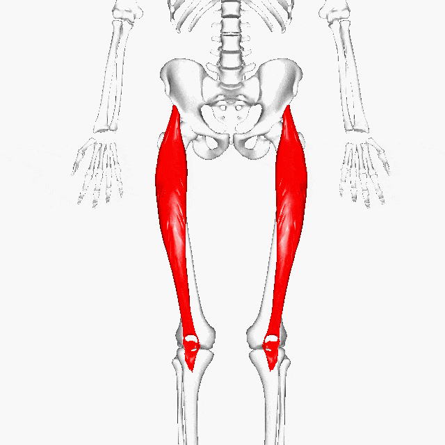 Stop Pain In Front Of Hip Joint Near Groin When Walking