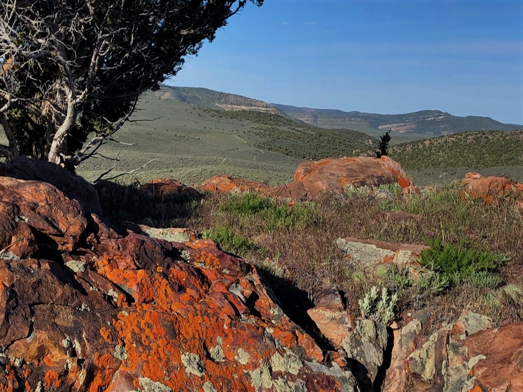 Craig, CO Land For Sale Juniper Mountain Ranch M4 Ranch Group