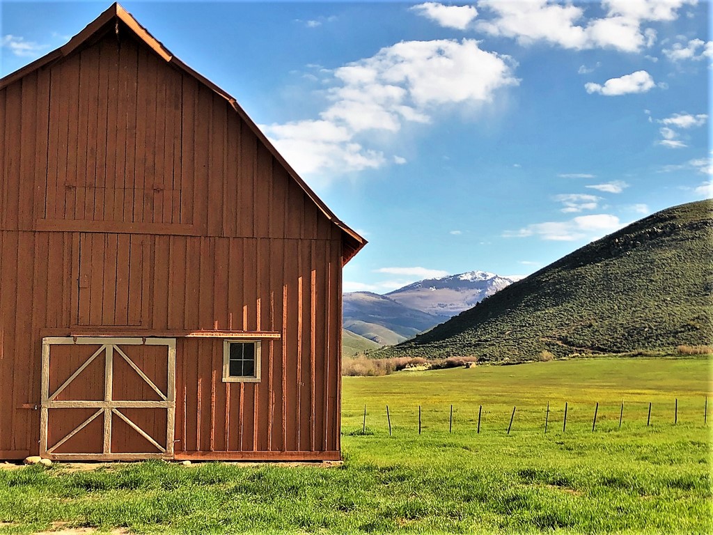 Western Colorado Ranches For Sale Circle J Ranch M4 Ranch Group