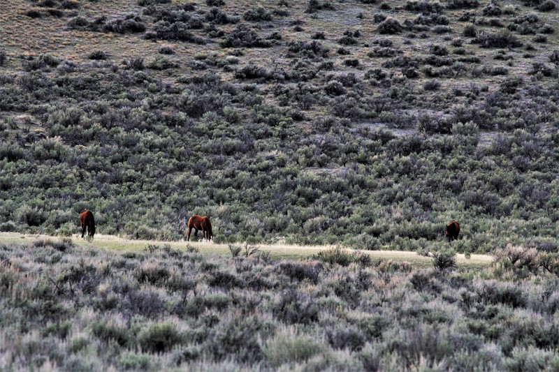 Craig, CO Land For Sale Juniper Mountain Ranch M4 Ranch Group