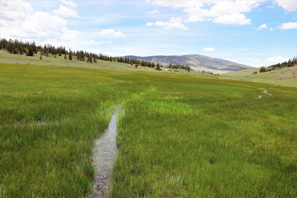 Saguache, CO Land For Sale Los Creek Ranch M4 Ranch Group