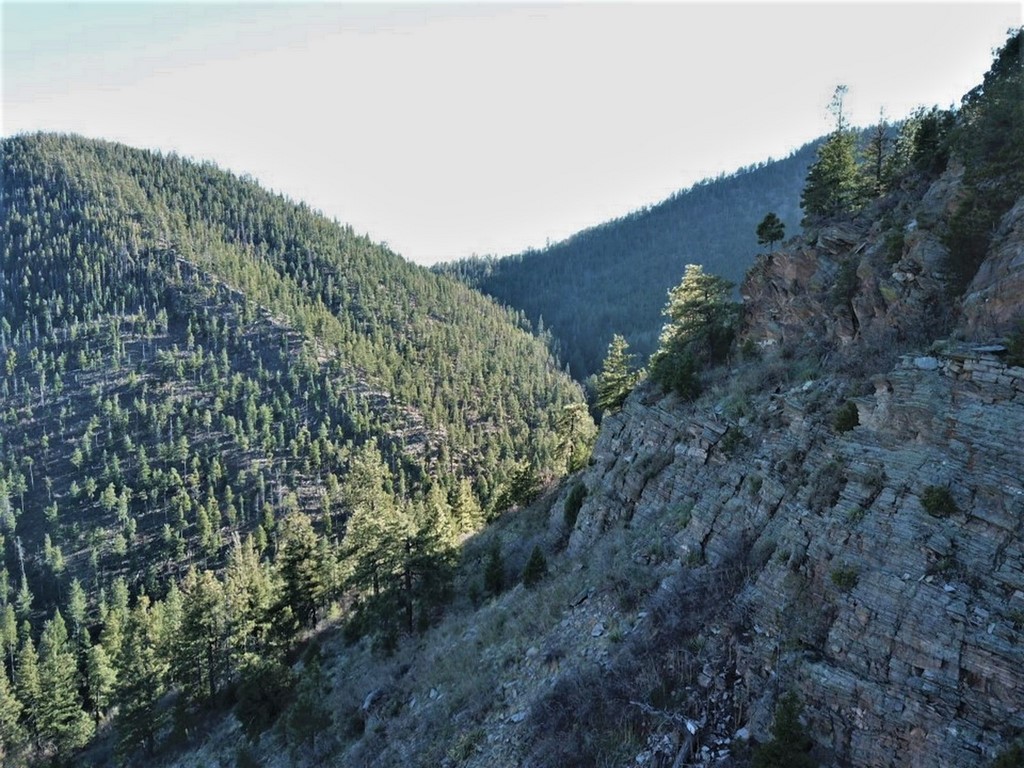 New Mexico Hunting Property Rincon Ranch M4 Ranch Group