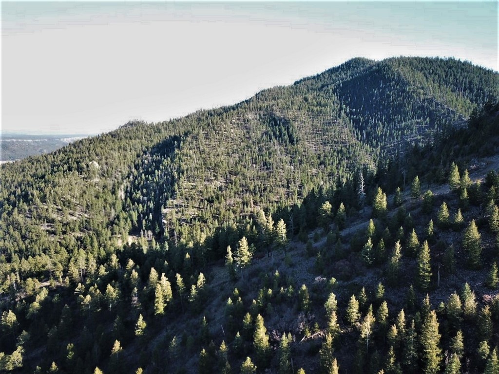 New Mexico Hunting Property Rincon Ranch M4 Ranch Group