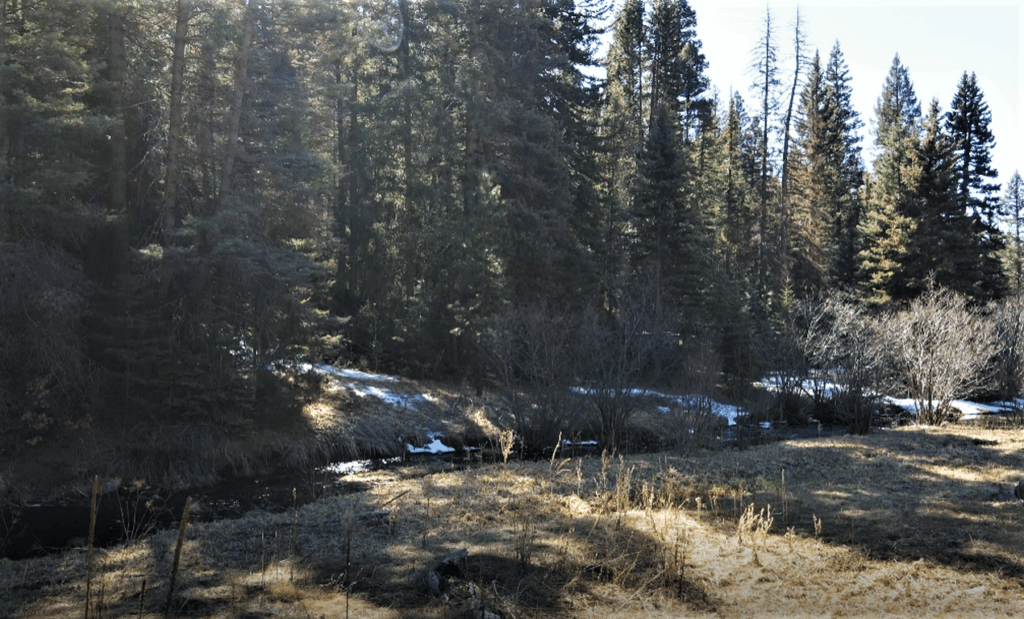 Guadalupita, NM Land For Sale Coyote Creek Ranch M4 Ranch Group