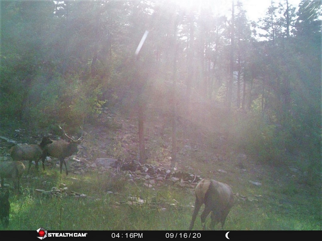 New Mexico Hunting Property Rincon Ranch M4 Ranch Group