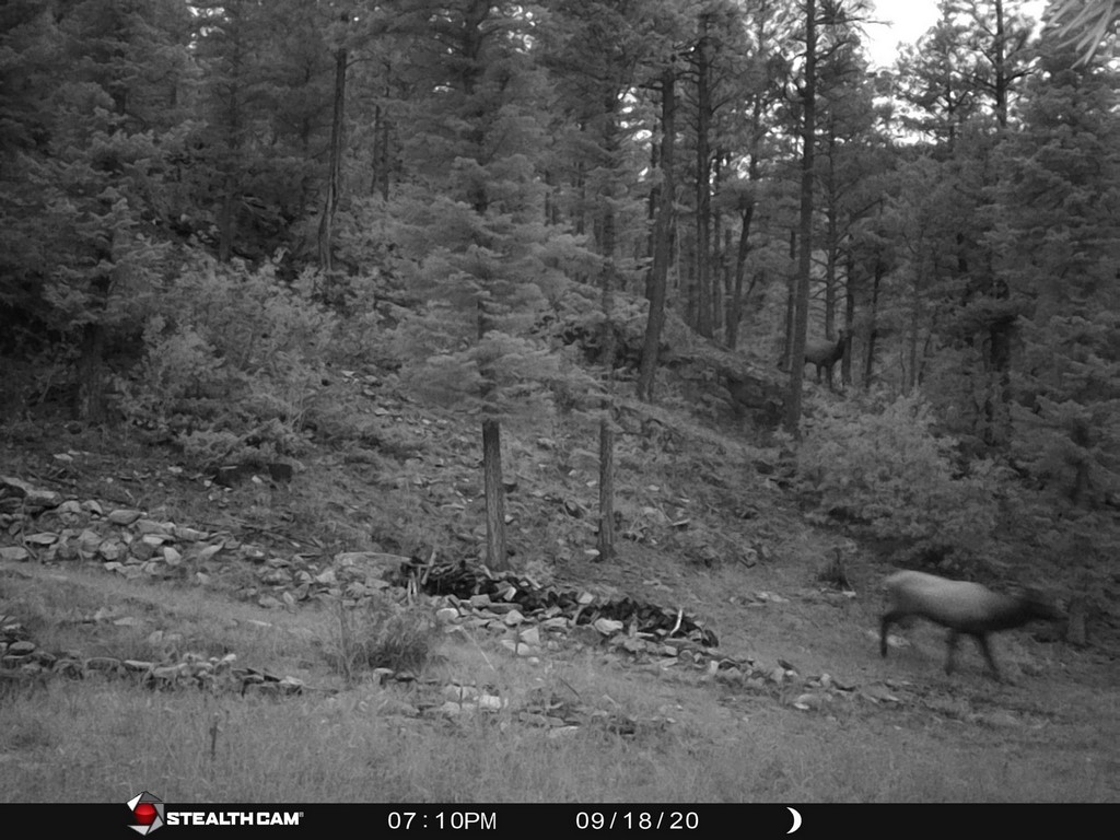 New Mexico Hunting Property Rincon Ranch M4 Ranch Group