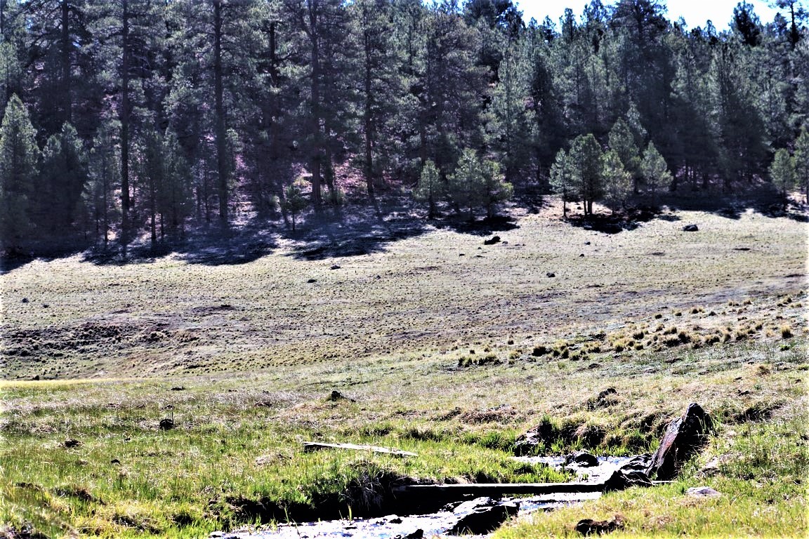 Angel Fire New Mexico Land For Sale Angel Fire, NM Property for Sale