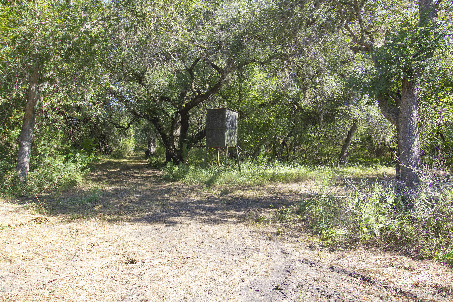 40+/ Acre Live Oak PropertySOLD! > M4 Ranch Real Estate