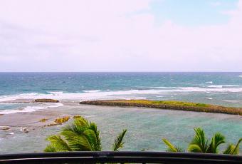 is It Possible to Be Green on Vacation | Family Man Librarian
