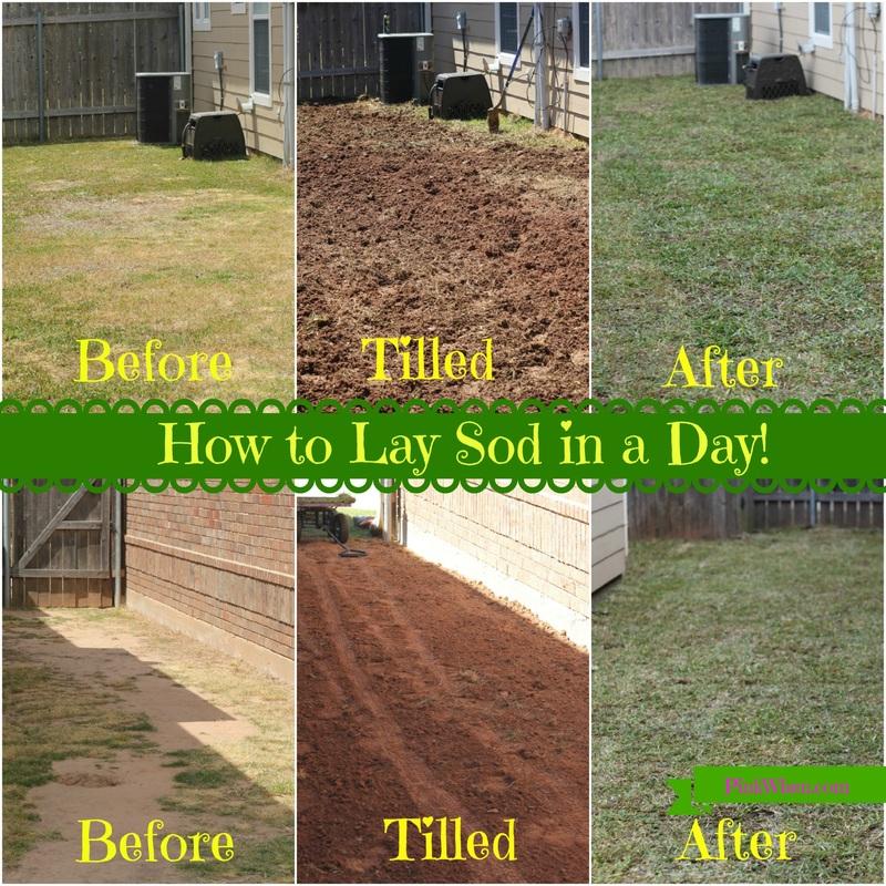 How to Lay Sod Paperblog