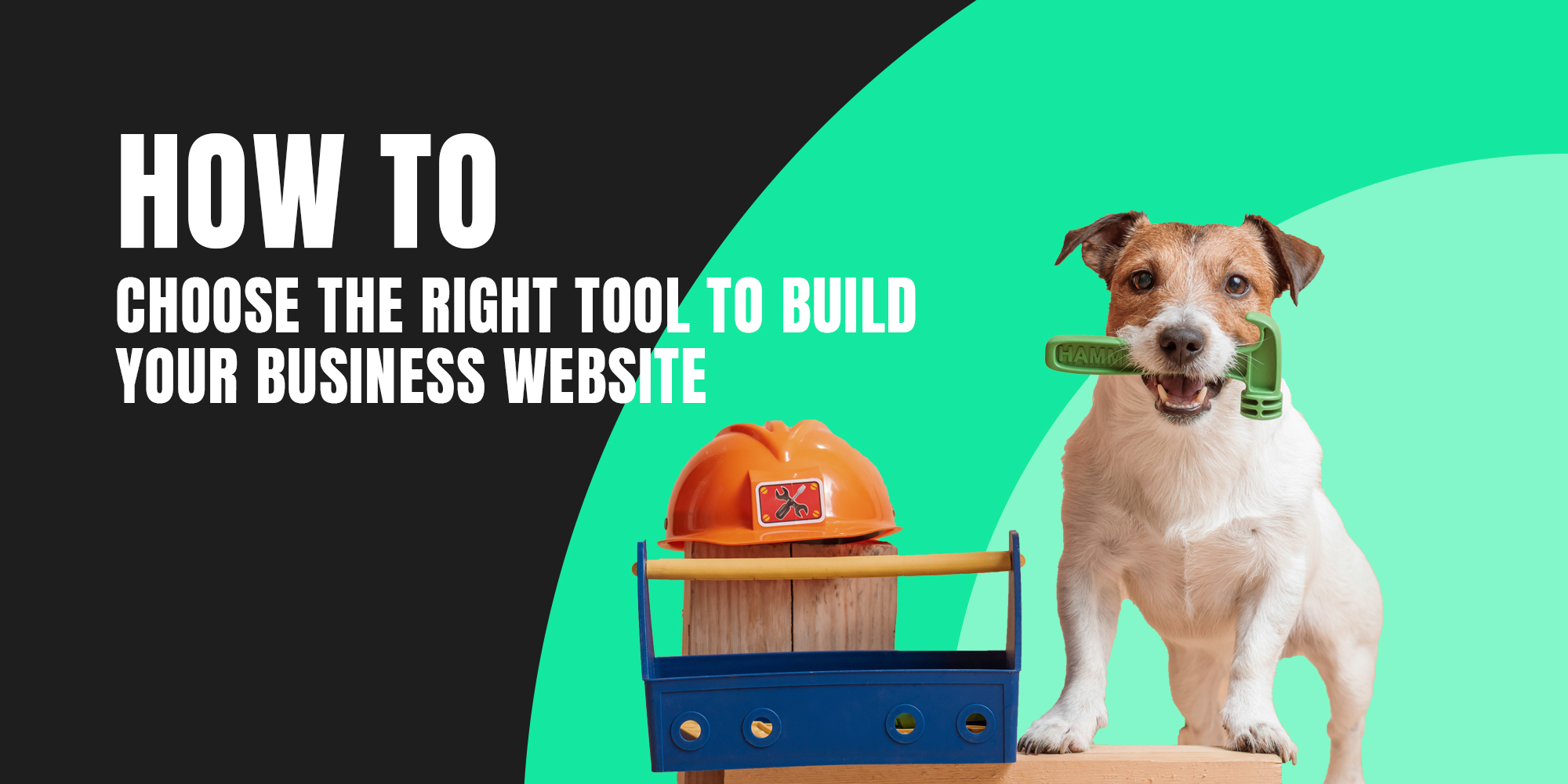 How to choose the right tool to build your business website M51