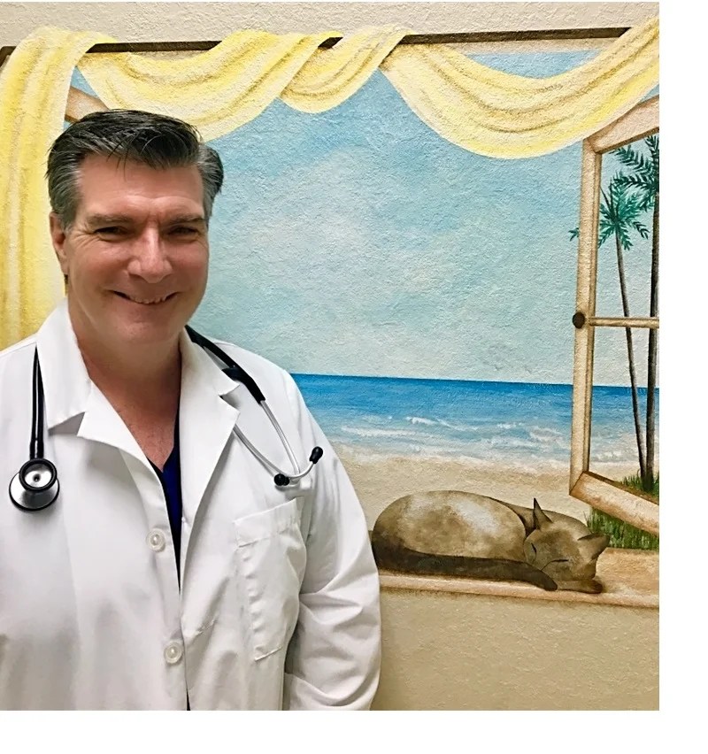 Charlotte Animal Hospital Kings Highway Animal Care