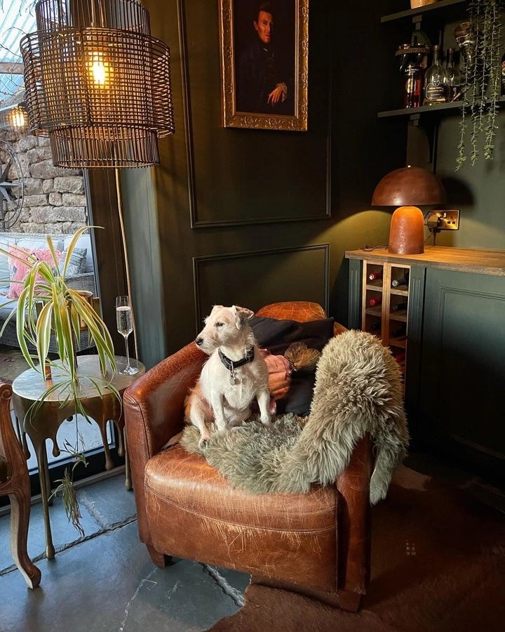 Frenchic Paint Black Forest maalisävy