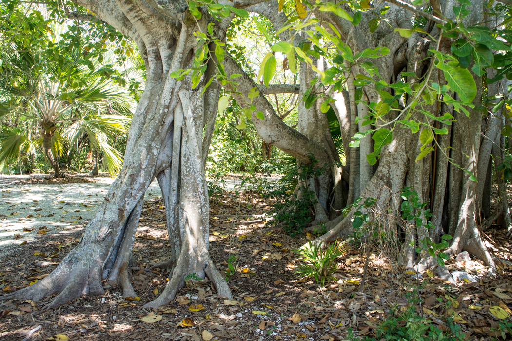 Exil tropical dans les Keys, au sud de la Floride Le blog de Mathilde