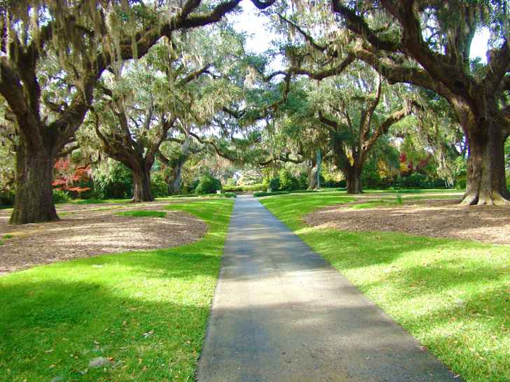 Brookgreen Gardens Photos
