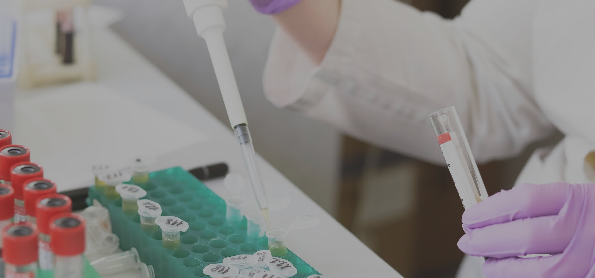 Michigan Association of Blood Banks