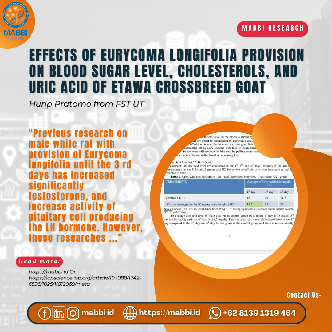 Effects of longifolia provision on blood sugar level