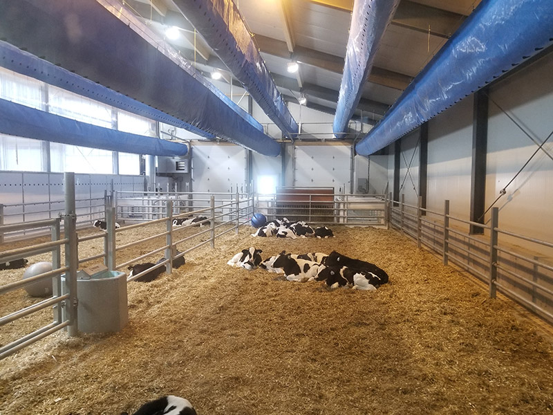 Calf Barns MABRE AIR SYSTEMS