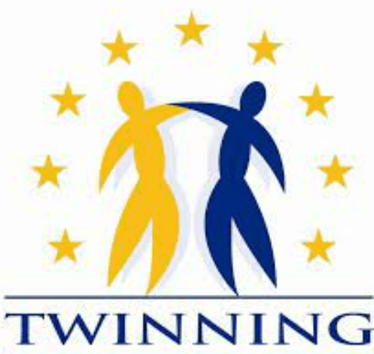 Assistant to the RTA (Resident Twinning Adviser) at EU Funded Twinning