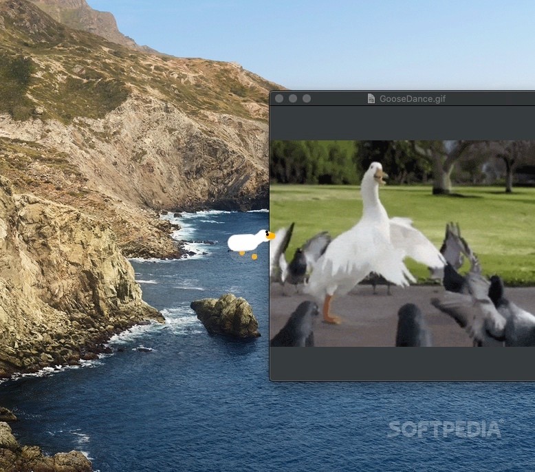 Desktop Goose (Mac) Download, Review, Screenshots